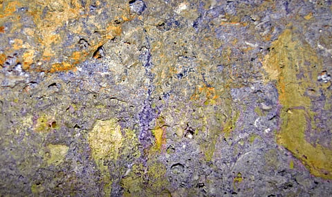 Weekend Reads: Fluoride is the Word