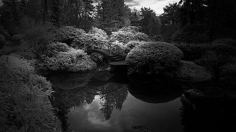 Reflection: Home Is a Place Called Kubota Garden