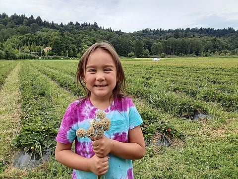 Friendly Hmong Farms: Supporting Puget Sound Hmong Farmers With a New CSA
