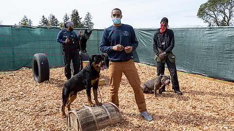 Northwest K-9 co-owners Marcus Wright (front) with Guapo, Tyler Clark and Beans (German Shepard) and Zayne Brown and his dog Stone pose in the training yard of their business in Des Moines. (Photo: Susan Fried)