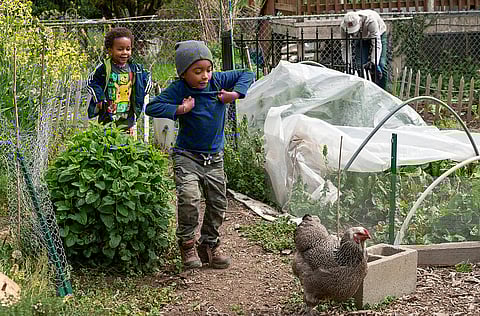 Photo Essay: For Community Organization 'Got Green,' Earth Day is Every Day