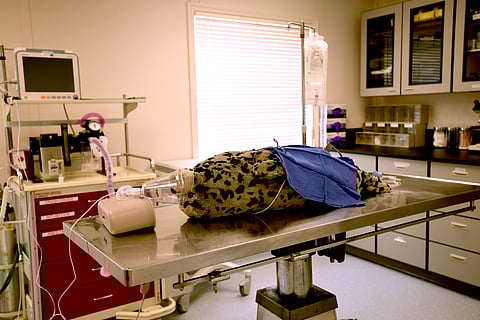 SR3 surgery and training area. Trainees practice surgeries in stuffed animals prior to handling a real one.(Photo: Caroline Guzman)