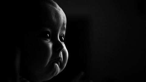 Image is attributed to David (under a Creative Commons, CC BY-NC-ND 2.0 license).