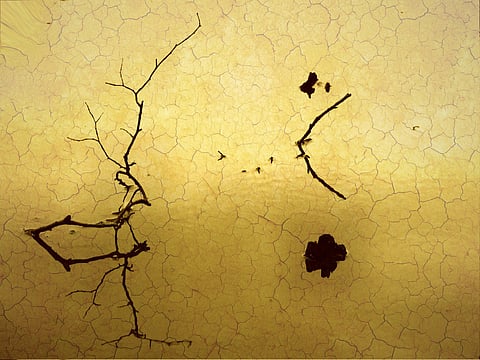 Featured image is attributed to broombesoom (under a Creative Commons, CC BY-NC-ND 2.0 license).