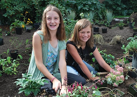 'Rain Gardens' Turn Backyards Into Water Treatment Facilities, Benefiting Marine Life