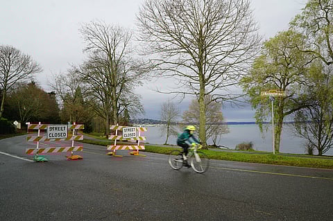 A bicyclist rides along Lake Washington Blvd (Photo: Susan Fried)