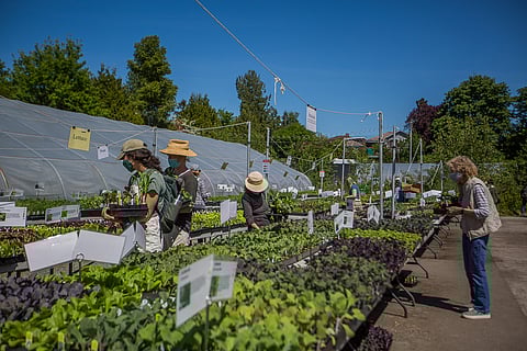 Tilth Alliance Offers Slate of Classes, Opens Pay-What-You-Can Farm Stand
