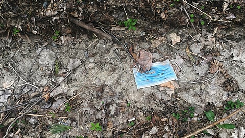 Discarded face mask by Cate Bligh (under an Unsplash free license).