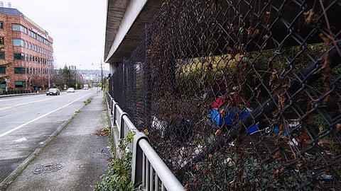 Image is attributed to David Lee (under a Creative Commons, CC BY 2.0 license).