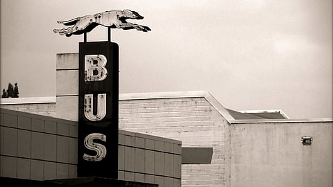 FICTION: Freedom Spring