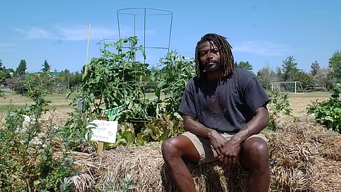 Community Garden Still Rooted in Jimi Hendrix Park Despite City's Demands to Leave