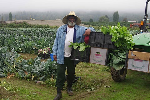Farmer Tom Willis stands in front of the Clean Greens farm in Duvall. (Photo: Janelle Bighinatti)