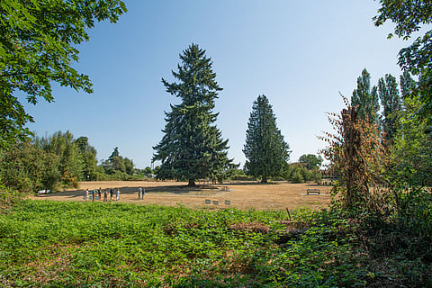 Overview of Burien's Hilltop Park. (Photo: Caroline Guzman)
