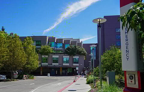 (Photo: Susan Fried)