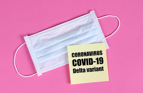 Image is attributed to Jernej Furman (under a Creative Commons, CC BY 2.0 license).