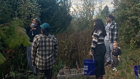 BLOOM Giving Garden. Photo courtesy of Davida Ingram.