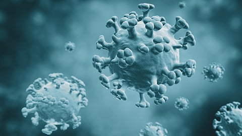 Image is attributed to quapan (under a Creative Commons, CC BY 2.0 license).