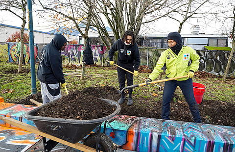 Volunteers Ryan Croone II, Tyree Abella, and King Nisby dig a trench for tulips during the Veterans Day of Service project Operation: Mapes Walkway Spruce Up, Nov. 20, at South Henderson Street and 52nd Avenue. (Photo: Susan Fried)