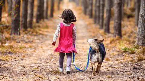 Weekend Long Reads: The Meaning of Life