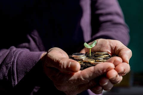 Photo by Yulia YasPe/Shutterstock.com