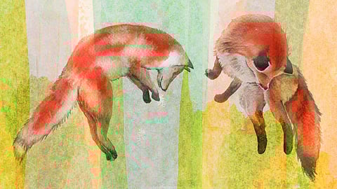 Illustration by luchioly/Shutterstock.com