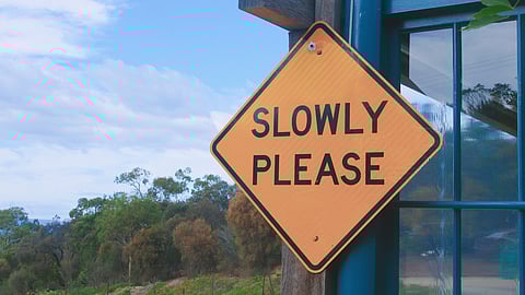 Weekend Reads: Getting to Zero Road Fatalities