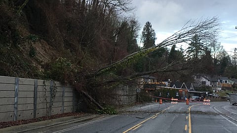 Landslide near 9600 Rainier Ave. S., near Chinook Beach Park. Photo courtesy of the Seattle Department of Transportation (SDOT).