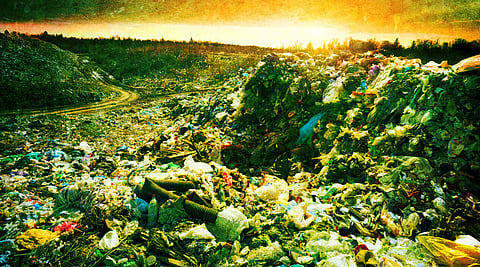 Original photo by Roman Mikhailiuk/Shutterstock.com; image editing by Emerald staff