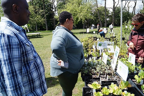 Larry Bosley, Dijana Steward, and Alina Mikolajczyk (left to right) at the Tilth Alliance's Edible Plant Sale in Wallingford on Sunday, May 8, 2022. (Photo: Azeb Tuji)