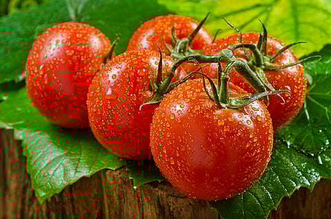 Photo by Foodio/Shutterstock.com