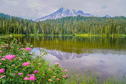 Mount Rainier National Park. (Photo: Jaidev Vella)