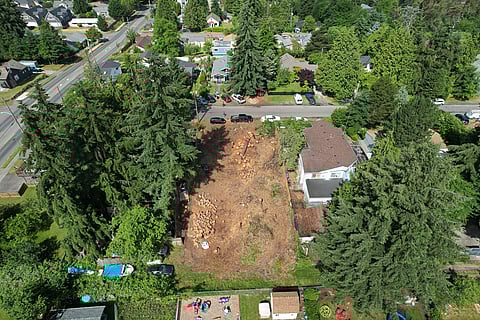 A clearing of trees on a land parcel in White Center prompted community actions which led to a $100,000 proviso, which lays out steps towards creating a tree ordinance for unincorporated King County. (Photo courtesy of Sandy Shettler.)
