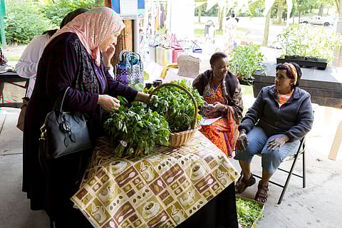 Farmer's markets are one of the services provided by Living Well Kent Collaborative, who have plans for a 70-acre site with community and technology centers, affordable housing, a botanical garden, farmland, a food hub, and more. (Photo: Natasha Reed, courtesy of Living Well Kent Collaborative)