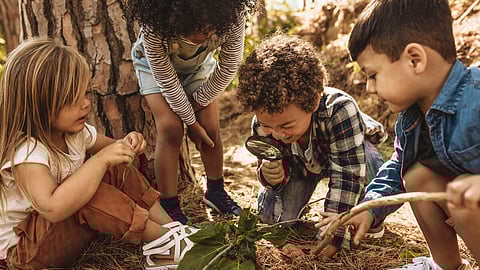Children in forest looking at leaves with a magnifying glass.