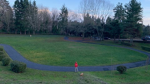 Lakeview Park in Burien was one of the sites granted funds through King County's program to preserve green spaces in the South End. (Photo courtesy of King County.)