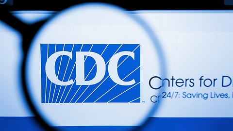 Photo via II.studio/Shutterstock.com