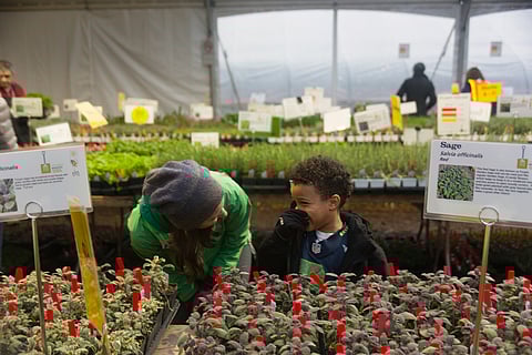 A child laughs with an attendant at a past Tilth Edible Plant Sale in March 2016. (Photo: Jennifer Leigh for Tilth Alliance)