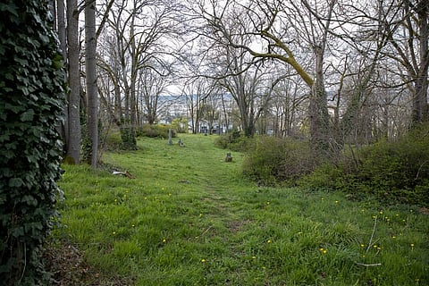 A desire path winds through the Comet Lodge Cemetery. (Photo: Alex Garland)