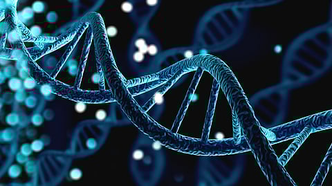 An image of a human helix DNA structure. In this week's Weekend Reads, Kevin Schofield explores a new report from the National Academy of Sciences that suggests some widespread assumptions about genetic research are too vague, and should be used sparingly, if at all. (Image: Billion Photos/Shutterstock.com)