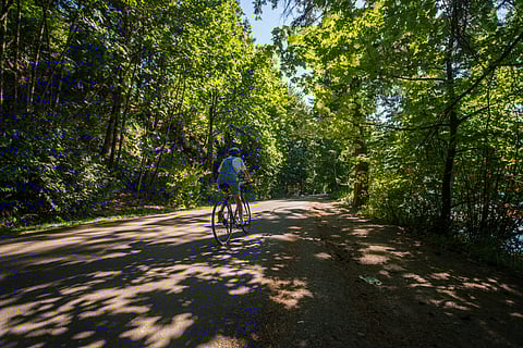 Photo is attributed to TIA International Photography, from Seattle Parks and Recreation (under a Creative Commons, CC BY 2.0 license)