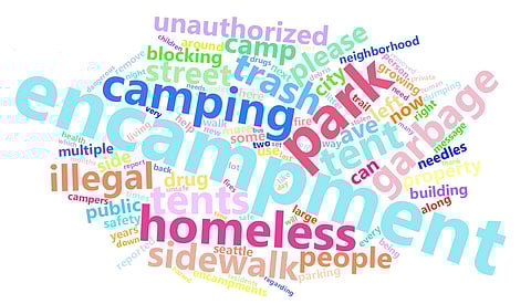 A word cloud displaying the 100 most common descriptive terms shows the rhetoric deployed by complainants. (Graphic: Guy Oron)