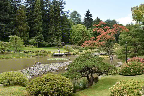 Weekend Reads | Using Parks to Promote Public Health