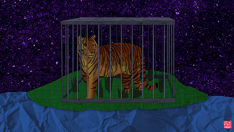 Illustration by 杰意Jieyi Zhou