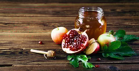 Photo via Iakovleva Daria/Shutterstock.com