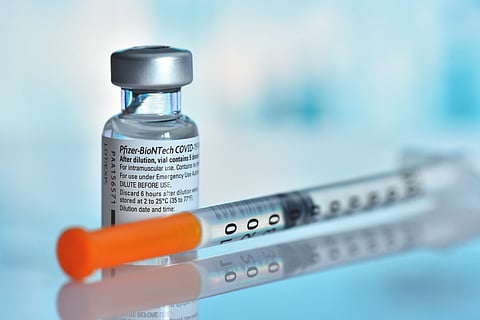 Photo via Daniel Chetroni/Shutterstock.com