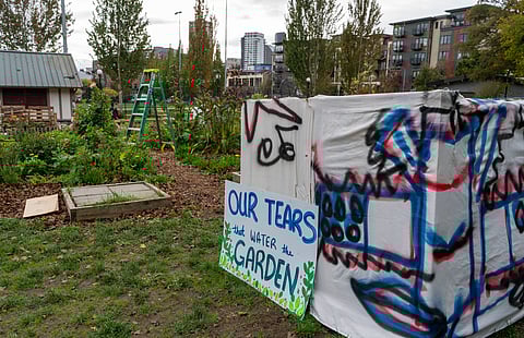 Stewards of the Black Lives Memorial Garden at Cal Anderson Park hope to keep the garden memorializing George Floyd intact. (Photo: Susan Fried)