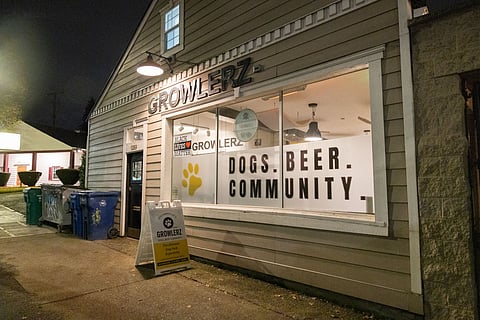 Growlerz Seattle opened in Columbia City in March 2020 and has been an essential stop for dogs, and their humans, to blow off steam and socialize. (Photo: Alex Garland)