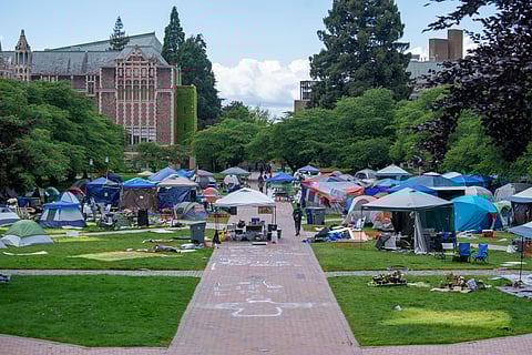 Patches of discolored grass show where tents started coming down at the "Popular University of Gaza" encampment at the University of Washington Quad over the weekend. (Photo: Susan Fried)