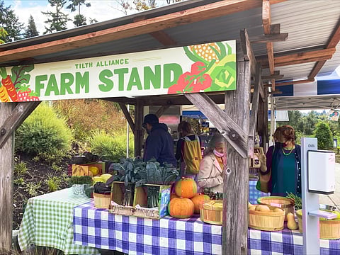 The Tilth Alliance Farm Stand at Rainier Beach Urban Farm & Wetlands. (Photo courtesy of Tilth Alliance.)