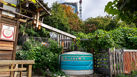 A cistern painted by community members at the Danny Woo Community Garden in Chinatown-International District. (Photo: Susan Fried)